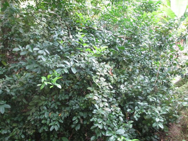 place photo 31