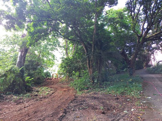 place photo 24