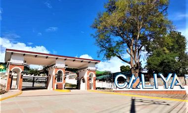 Caliya Candelaria