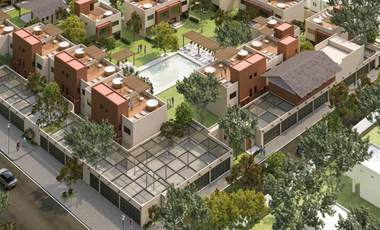 OASIS YAUTEPEC IV