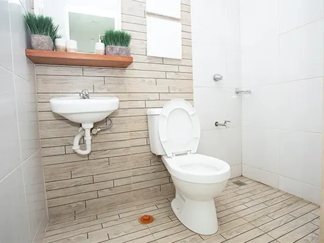 place photo 15