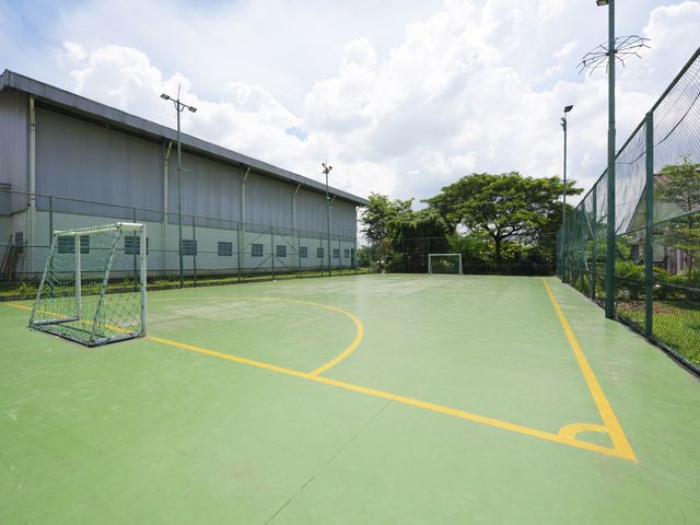 place photo 11