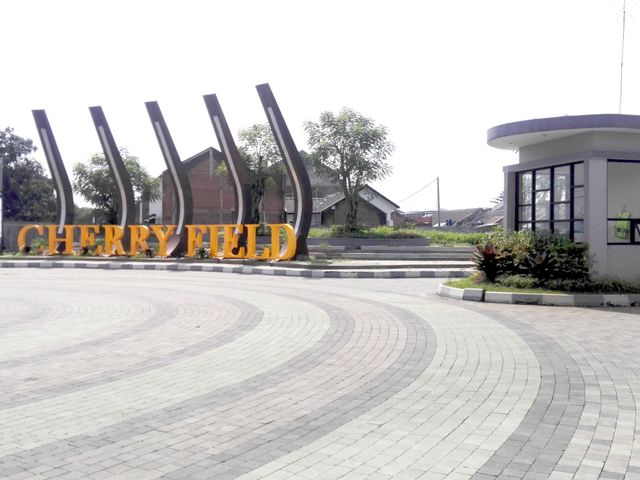place photo 2