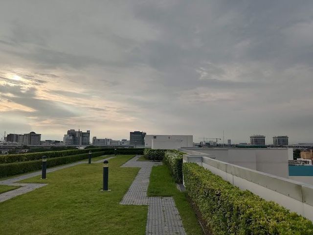 place photo 7