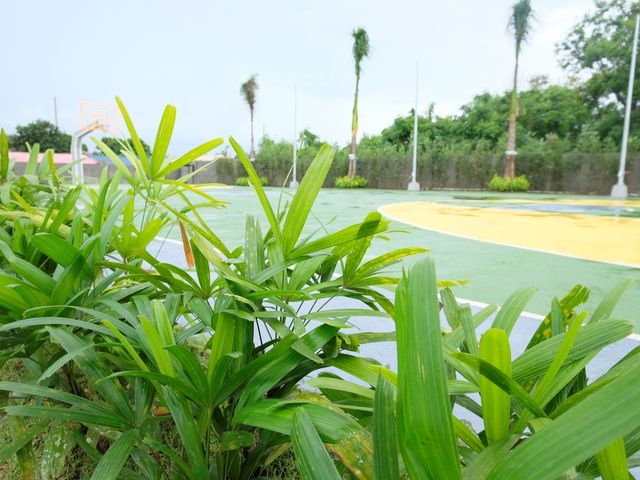 place photo 7