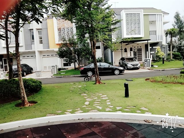 place photo 12