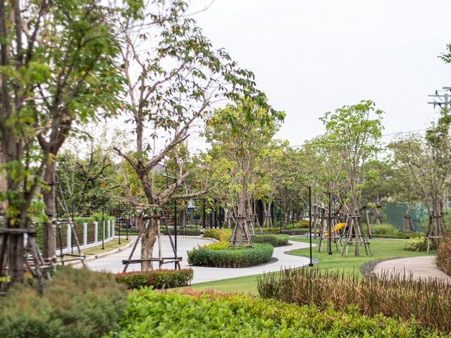 place photo 37