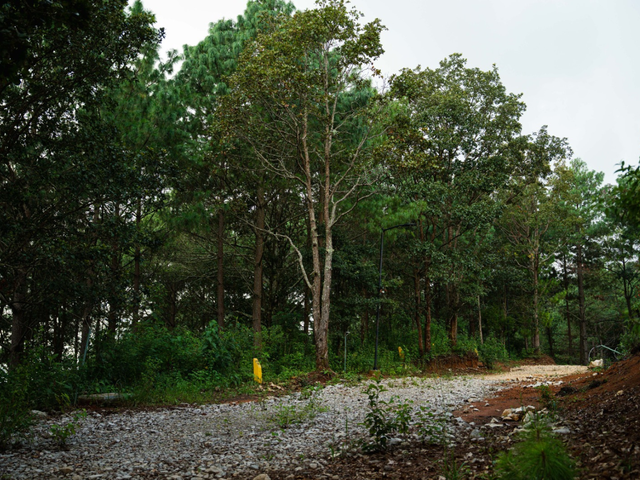 place photo 14