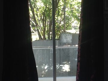 place photo 81