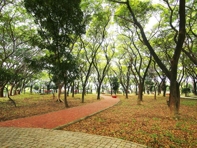 place photo 24