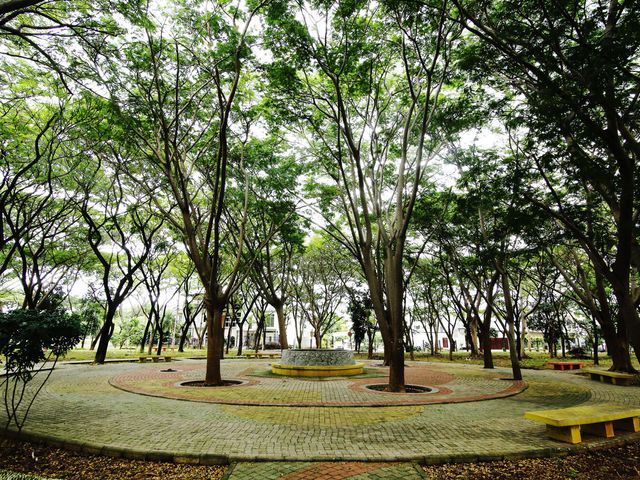 place photo 25