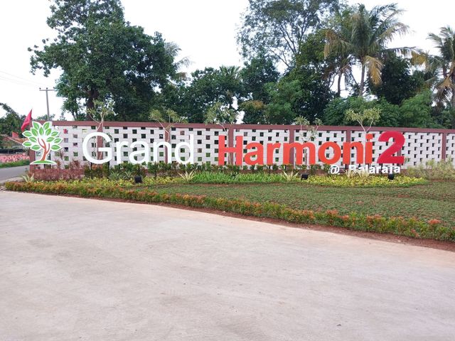 place photo 3