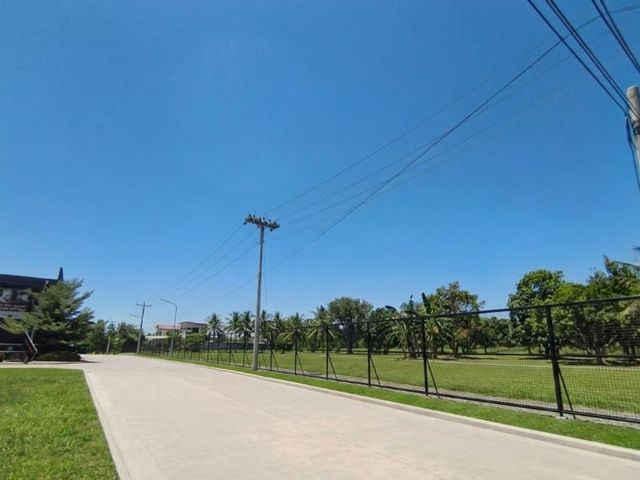 Altafina