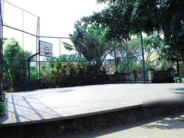 place photo 7