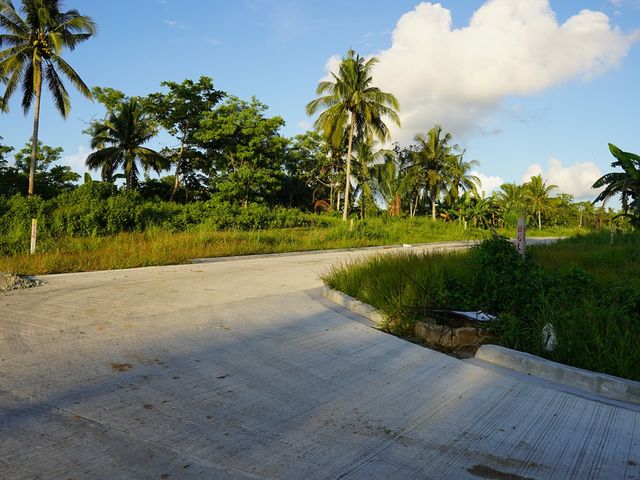 place photo 22
