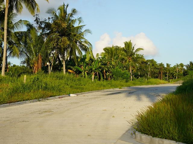 place photo 23
